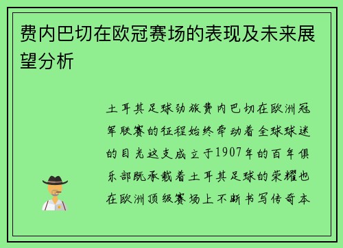 费内巴切在欧冠赛场的表现及未来展望分析