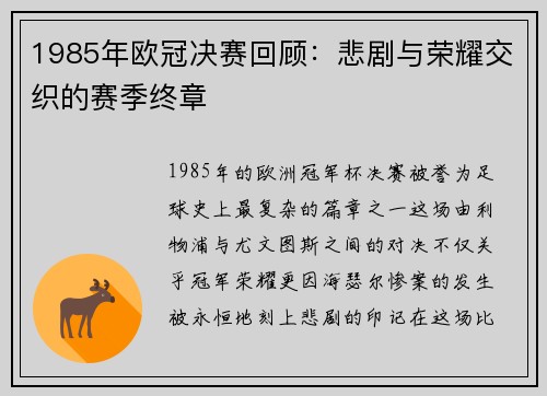 1985年欧冠决赛回顾：悲剧与荣耀交织的赛季终章